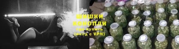 шишки Пересвет