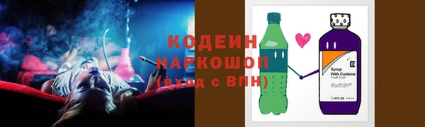шишки Пересвет