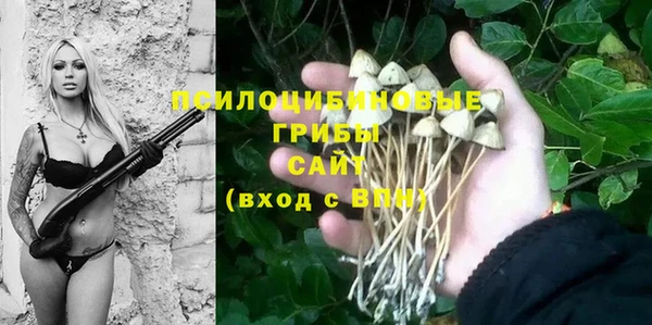 стафф Балабаново